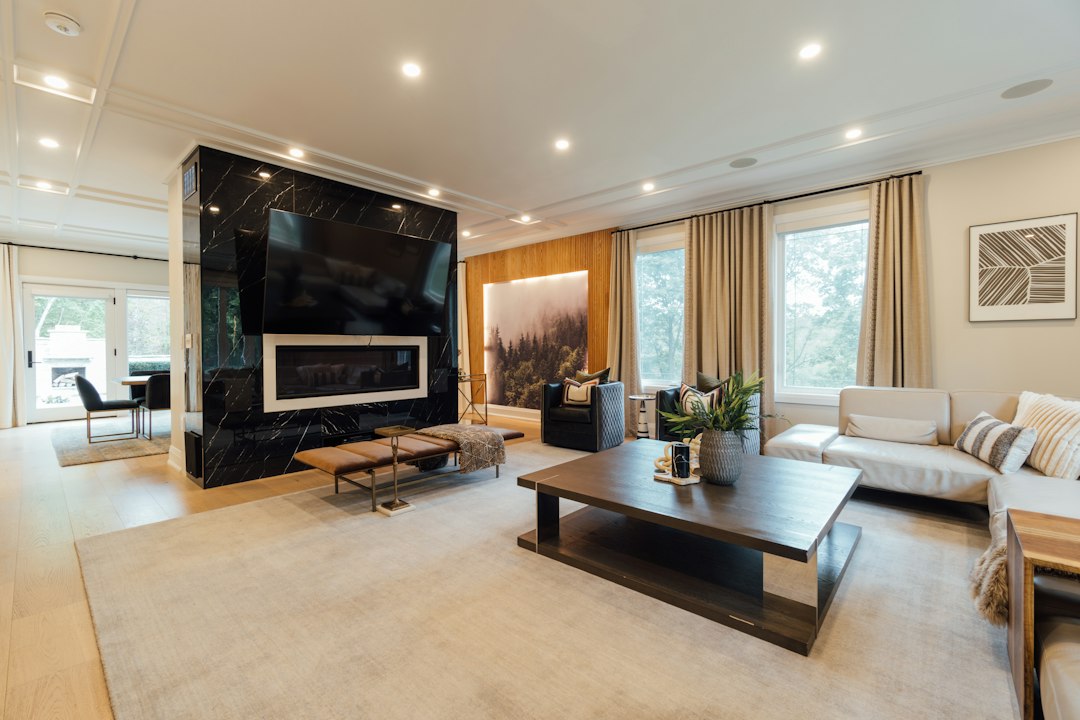 Modern Minimalist Rug
